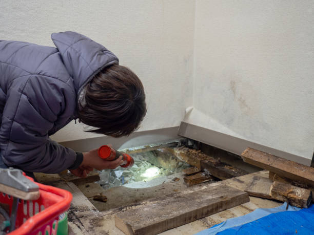 Best Post-Construction Mold Inspection  in Menlo Park Terrace, NJ